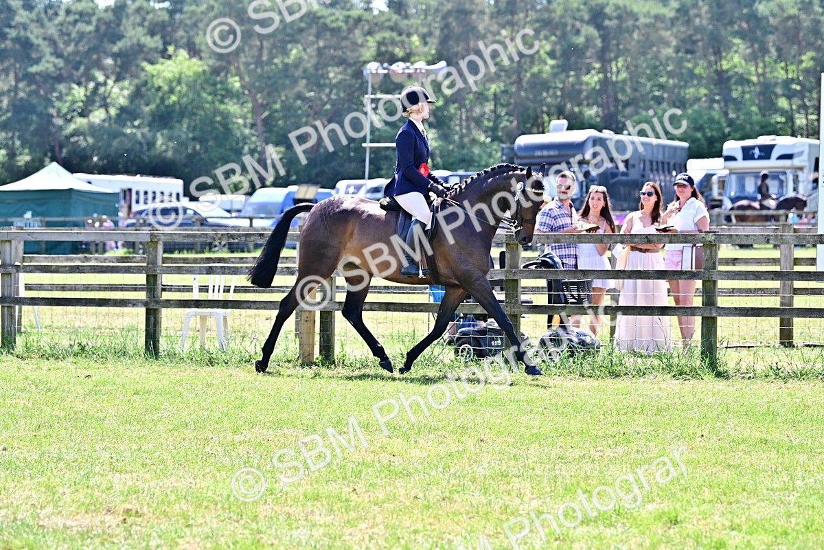 SBM_17522 - Class 95-97 - BSPS LHS Performance Ponies