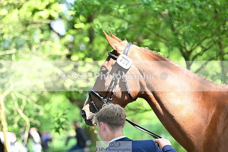 250521A-154209-00702 - B-354-Oliver.Thompson-LAGANS.RICE.STAR