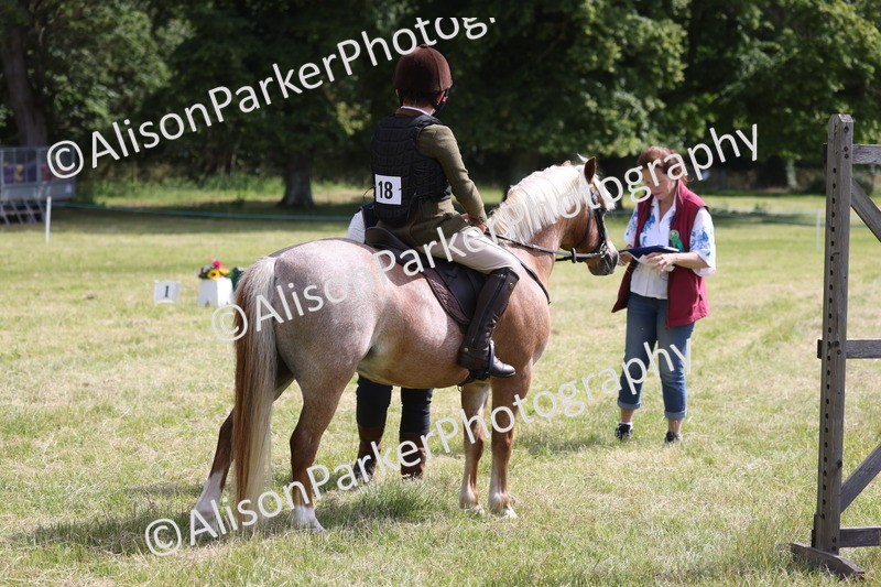 20260614-0754 - Class 20 - Beginners Working Hunter Pony