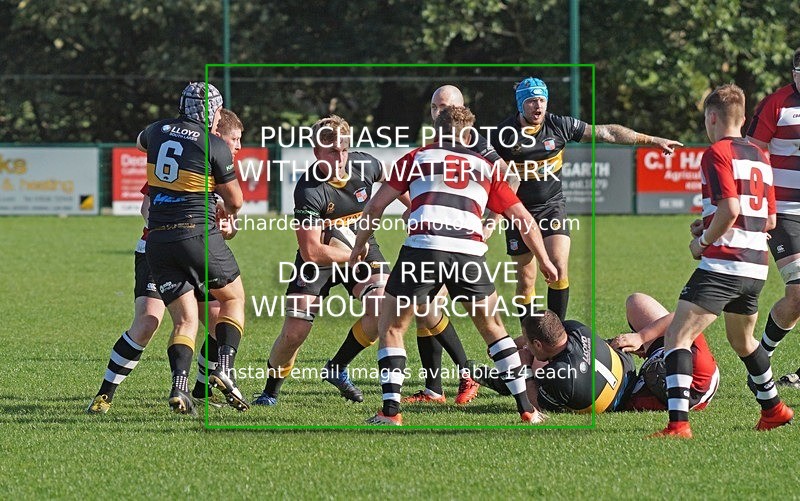 DSC00802 - Season 2019-20, Kendal Rugby v Percy Park