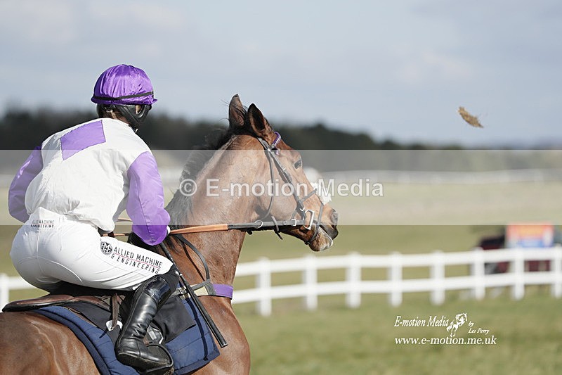 PtP 260223 393 - South & West Wilts Point-to-Point Larkhill 26/02/23