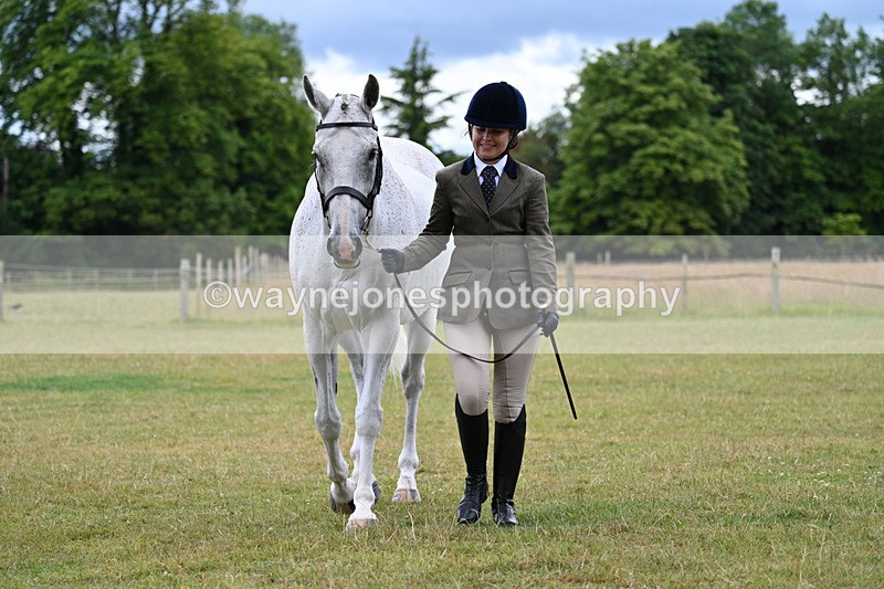 WJ7_6985 - Class 5a Most Handsome Gelding in Hand