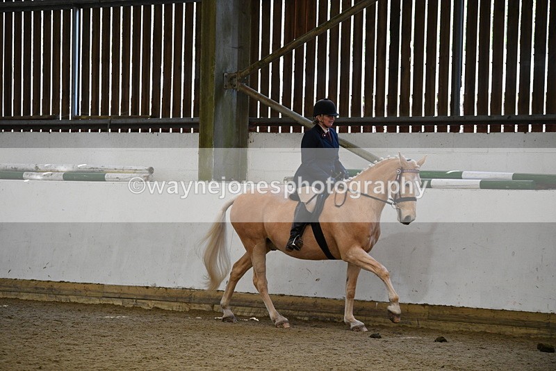 WJ5_5980 - Class 9 Ridden Veteran