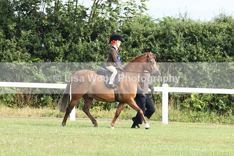 JPP_0494 - Class 14: Cornish Combination Leading Rein