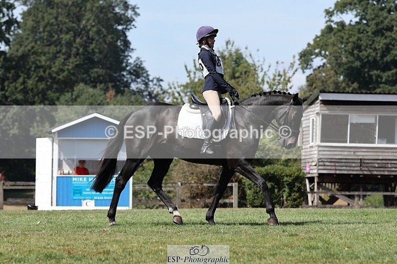 250823A-122428-29497 - Arena D