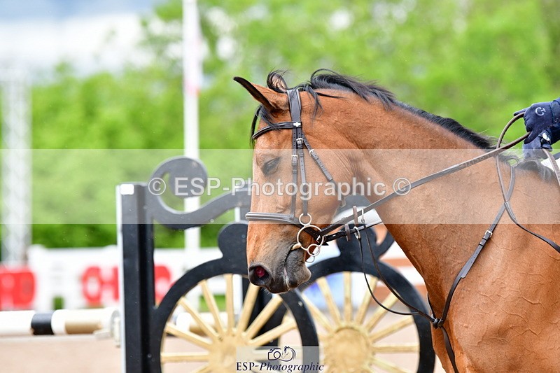 240526A-140804-08443 - Cls 36 1.10 National Am Qualifier and Open