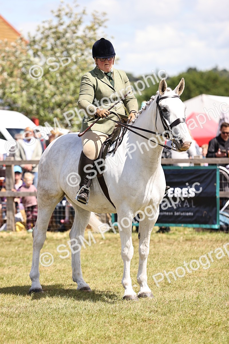SBM_14754 - Class 88-89 - LIHS BSHA Rising Star of Ridden Hunter Type