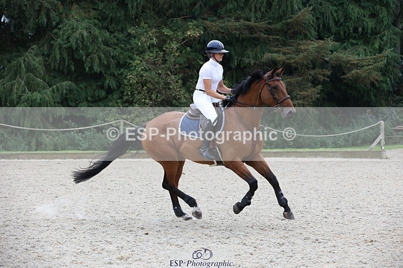 230908-174856-03491 - Cls 9 Snr Newcomers & 1.10m Open