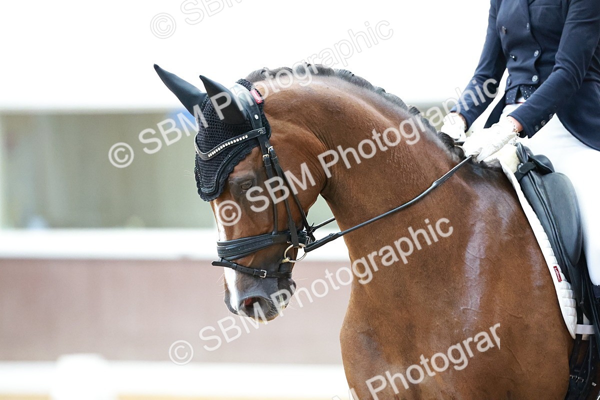 SBM_017957 - Class 15 - FEI Junior