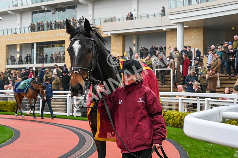 131224-Race 3-Spirits Bay-9346