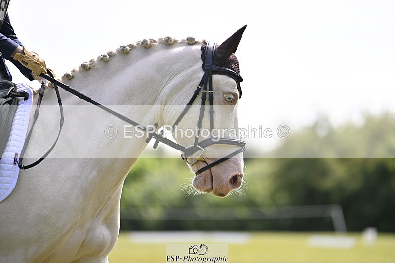 240824X-115453-26099 - D80 Section E and F 11.00 to 12.00