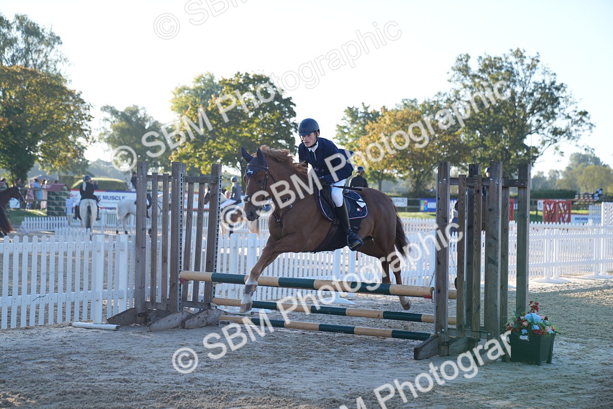 SBM_13974 - J59 - Clear Round - 65cm