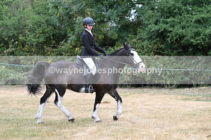 WJ7_0300 - Class 2 Best rider