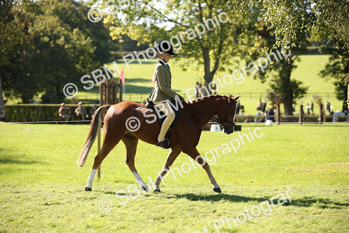 SBM_38969 - S11 - Best Ridden Horse & Pony