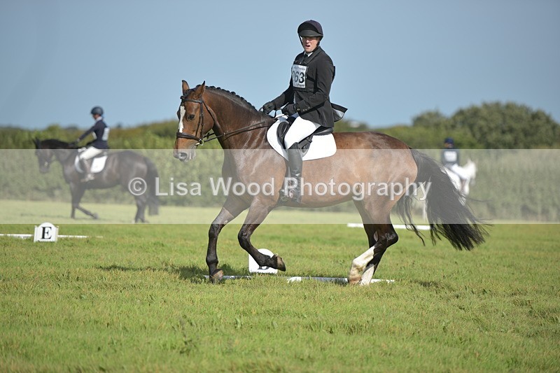 RAY_8056 - Class 2B: Trekenning Open: Dressage