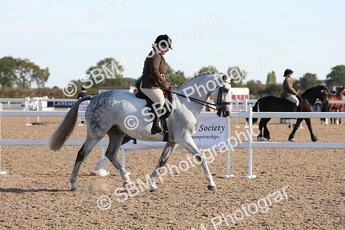 SBM_10880 - Class 202 - Best Turned Out - Ridden