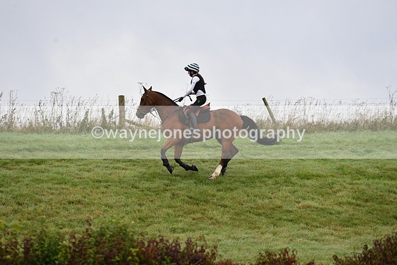 WJ5_5548 - Time 10:05 to 10:30  (3 cameras)