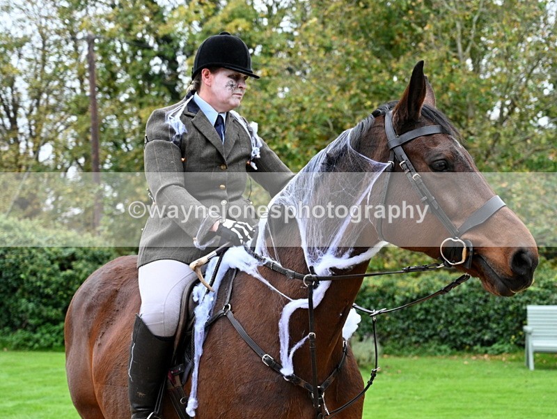 WJ7_6199 - Berks & Bucks - Children's Meet - The Old Farmhouse – Steventon.