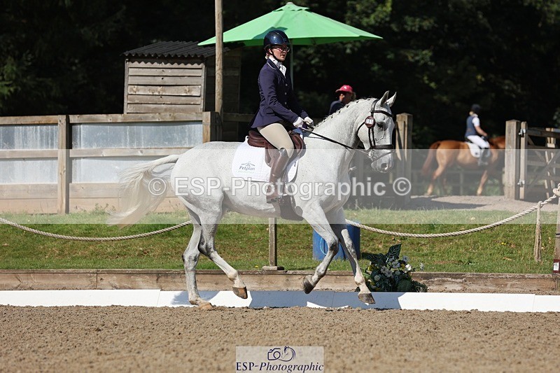 240719-095451-00287 - 251-Letitia_Pickles-Calypso's_Pride