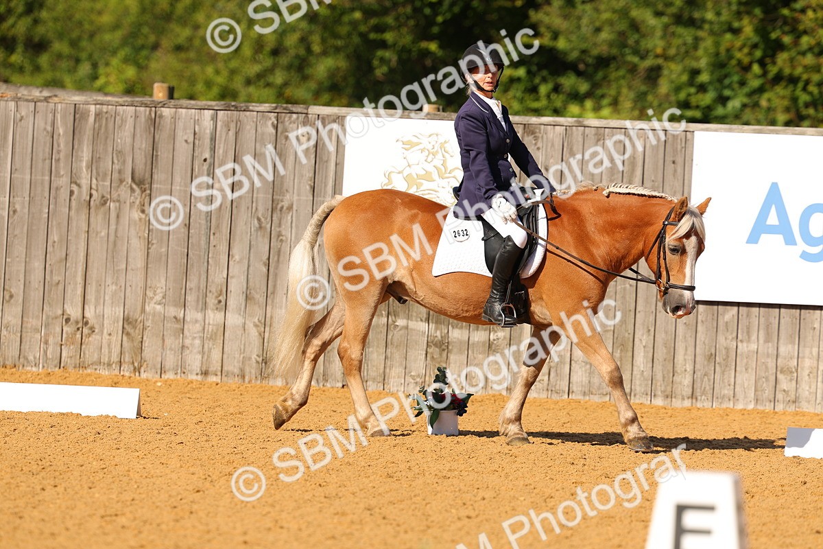 SBM_39925 - D18 - Grand Tour Championship - Novice 34