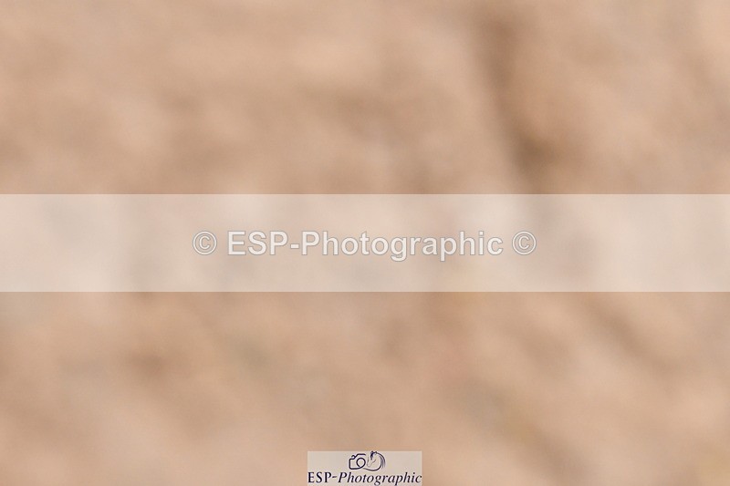 240121A-095419-00310 - Cls 2 Prelim 17A