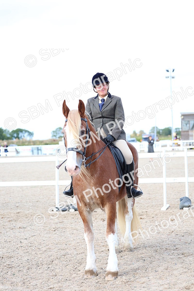 SBM_17233 - Class 315 - Best Horse - Rider Combination