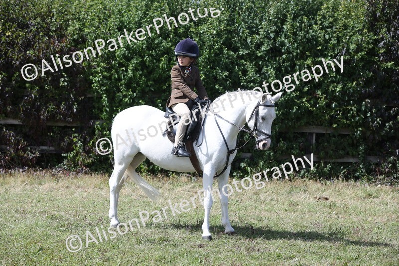 20250831-2851 - Class 18 - Childs First Pony