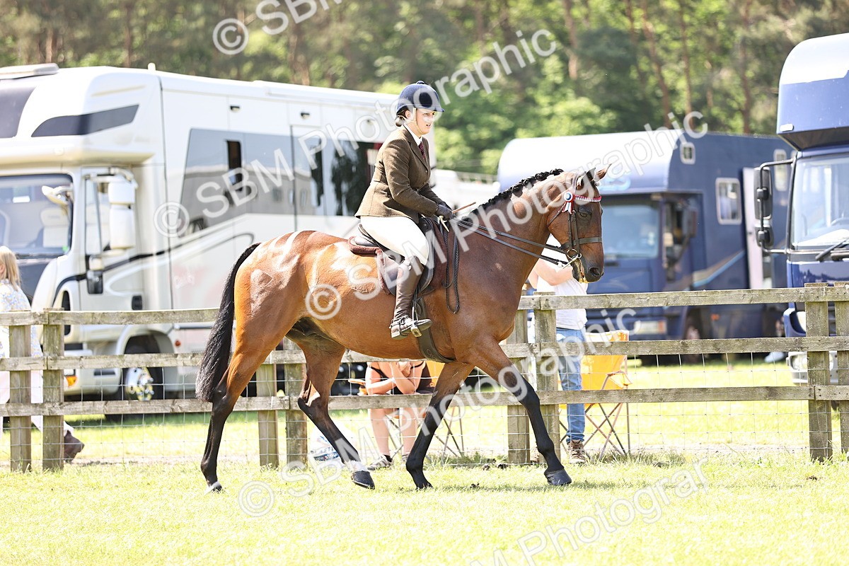 SBM_14832 - Class 78 - LIHS BSHA Open Racehorse & Show Horse