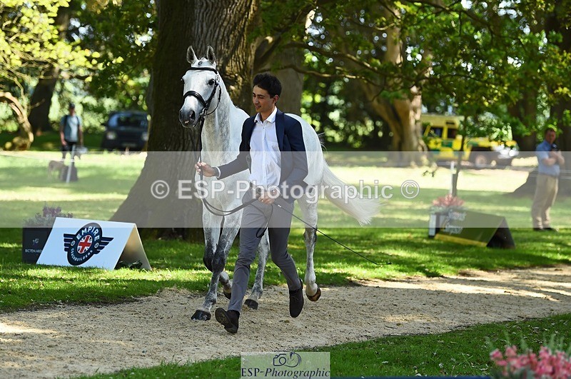 230524-153402-00359 - 359-LONG_BEACH-Giorgio_Nardilli-WEDTrotUp+DR