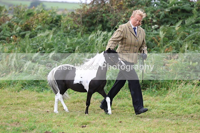 3E7A4100 - Class 15: Two Year Olds