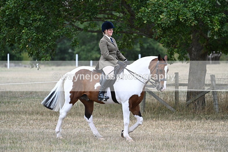 WJ7_5389 - Class 12 Ridden Cob