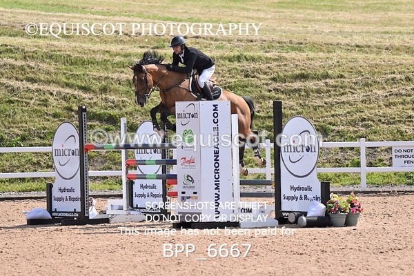 BPP_6667 - CLASS 13 FRI HOYS Talent Seeker Qualifier Inc 7 Year Old Horse Championship Qualifier