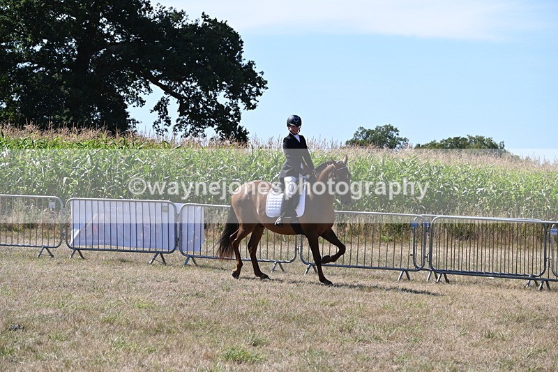 WJ6_8885 - Class 38 Ridden Riding Horse/Pony