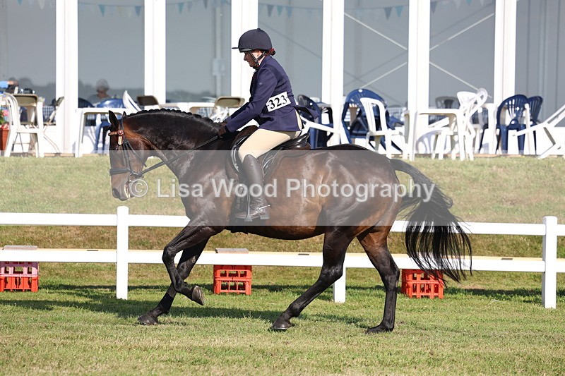 3E7A5481 - Class 2: Rising Star Large Hack/Riding Horse