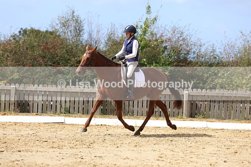 3E7A3991 - Class 9: Novice 6 Section B Championship