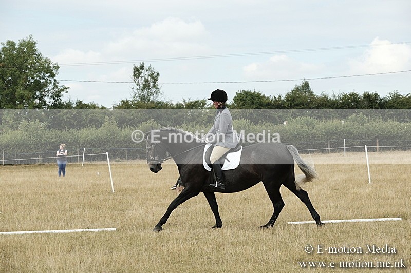 _PJP5761 - Dressage Classes BVRC Show 2018
