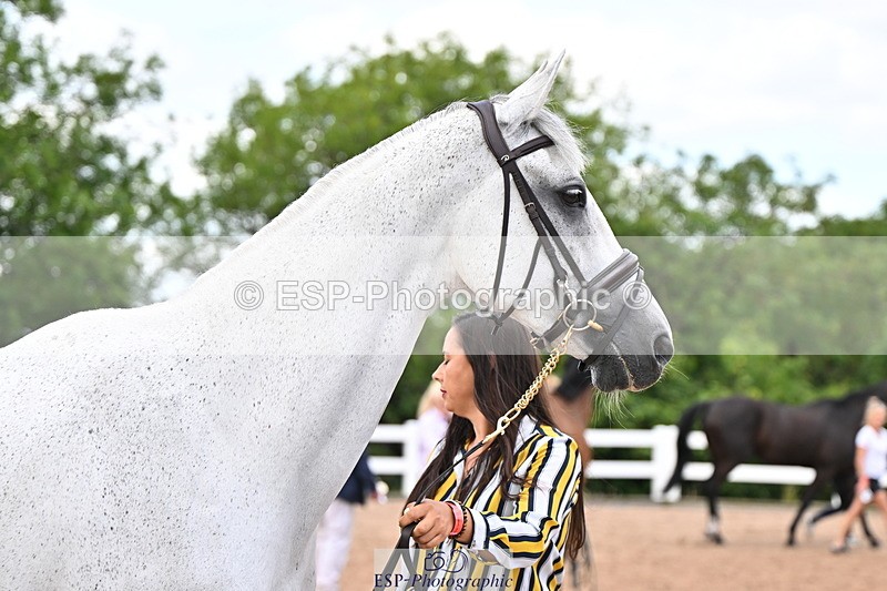 240718A-105325-01974 - Trot Up 2pm to 3pm - This folder is not in time order