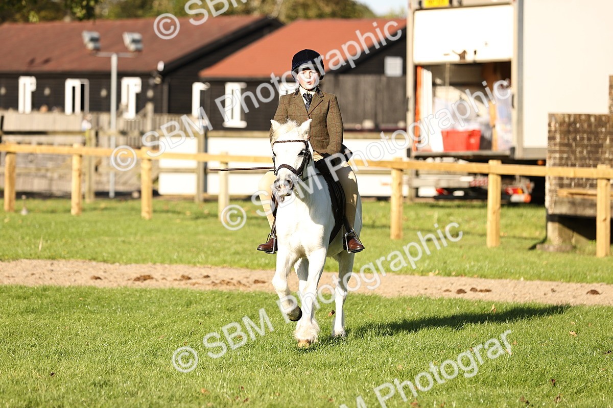 SBM_29450 - S7 - Novice & Newcomers Ridden Pony
