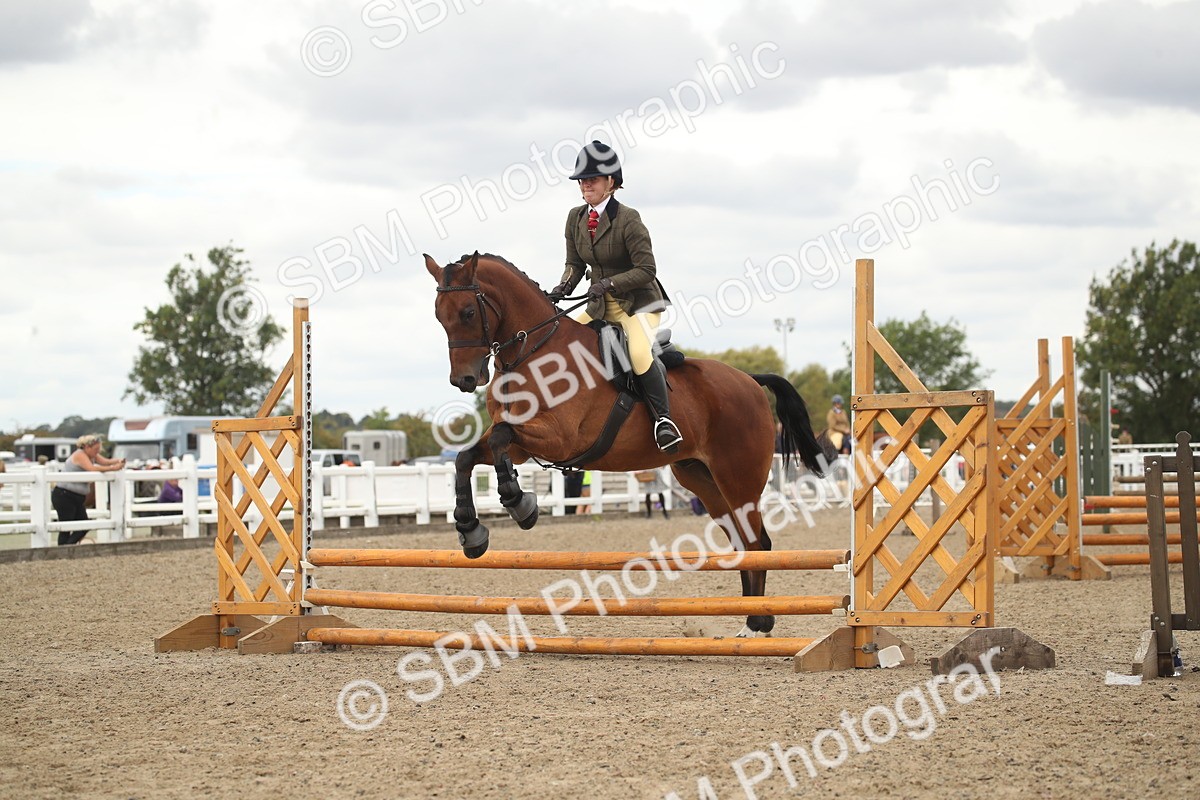 SBM_16650 - Class 507a - Working Veteran - 60cm (15-19)