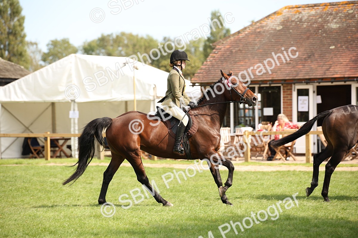 SBM_66010 - S64 - Riding Horse & Hack & Thoroughbred Ridden