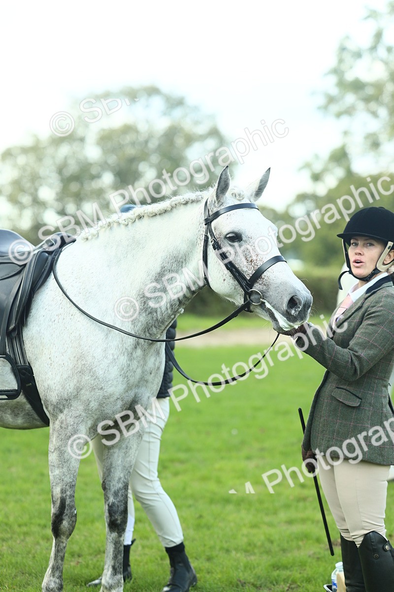 SBM_50740 - S33 - Working Hunter & Working Show Horse