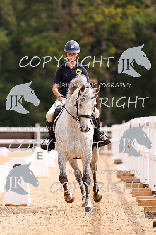 _R6A2742 - Dressage Morning