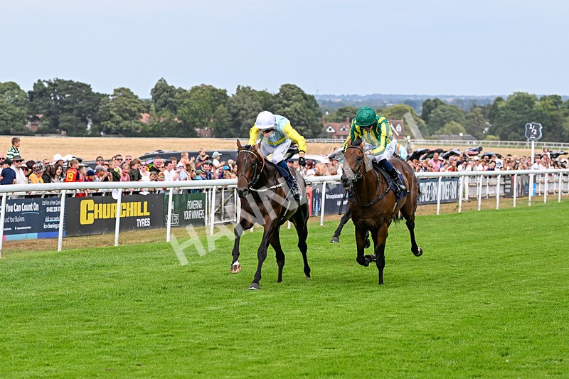 280726-Race 4-Vega King-0932 - Race 4 15.20pm 30 Years Of The Hurn Racing Club EBF Novice Stakes