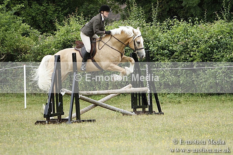 BVR160717-370 - Ring 3 BVRC Show 16/07/17