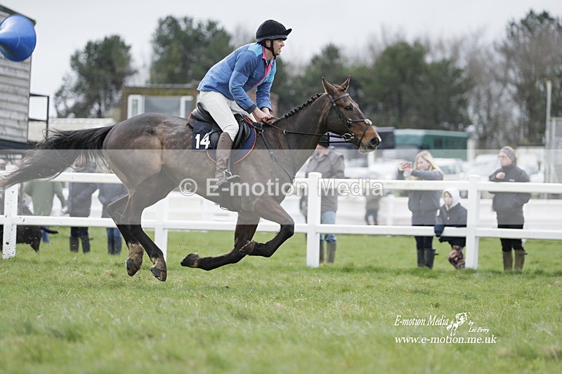 PtP 260323 0242 - New Forest Hounds Point-to-Point Larkhill 26/03/23