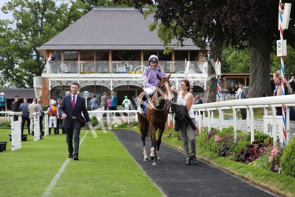 yr11062022r8-32 - Race 8 5.25pm Clean up with PPS Stakes
