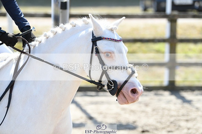 250822A-132831-22823 - NAF Round 1 13.20 to 14.00