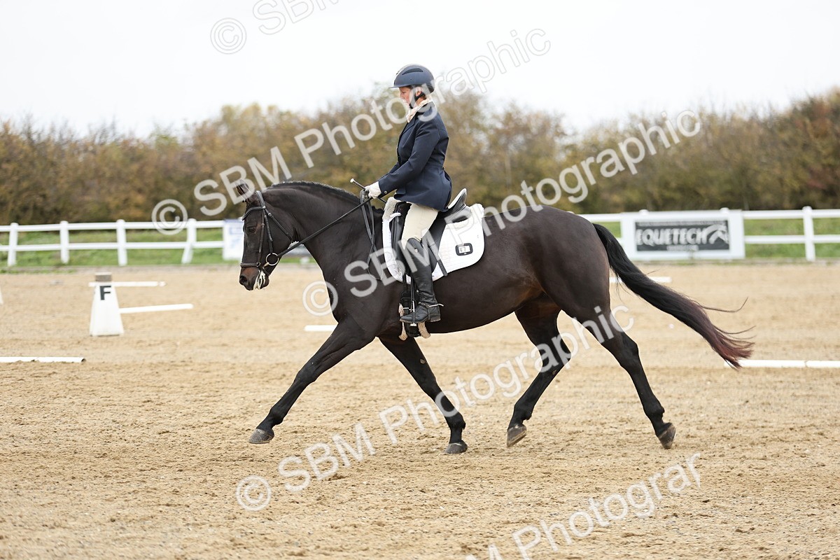 SBM_003945 - Class 9-12 - Novice 2 Elementary 3