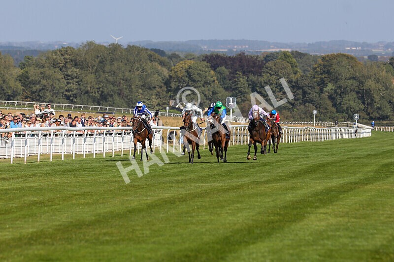 310824-Race 5-Bassadanza-1785 - Race 5