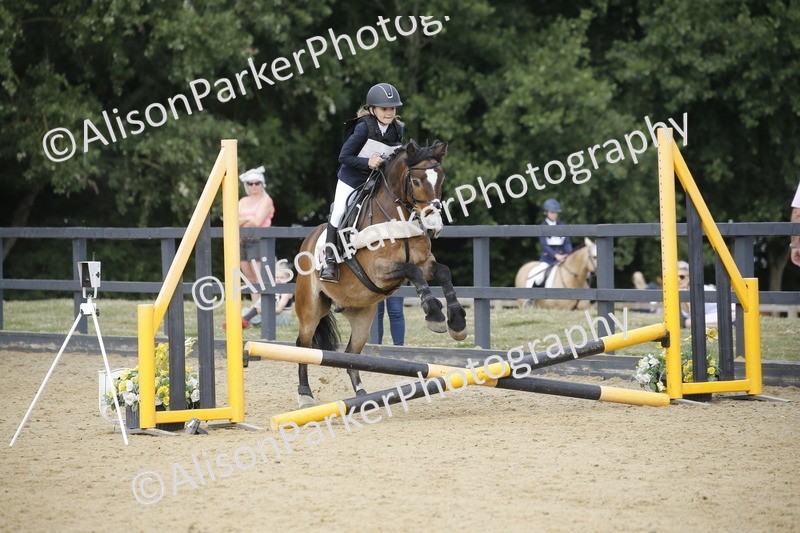 20250622-3892 - 50cm